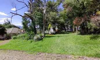 Imagem 4: Terreno no bairro Harmonia REF: 210485