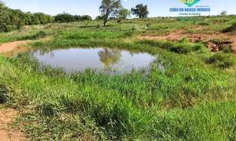 Imagem 7: APARECIDA DO TABOADO - RURAL - Área Rural de Aparecida do Taboado MS