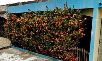 Imagem: Casa com 1 quarto na Cidade Nova 8 prox