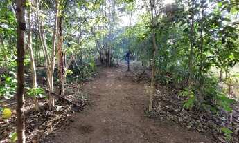 Imagem 6: Vendo Chacara 12 0000mt² na beira do rio Lajeado