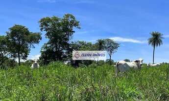 Imagem 7: Fazenda com 280 hectares, 230 de pasto formado, casa sede, curral, por R$7.500.000,00