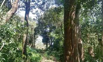 Imagem 5: SD. Lote 1000m2+ Construção personalizada a partir de 373mil em Mairinque