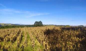 Imagem 5: Terreno em Ibiúna Perto da represa!