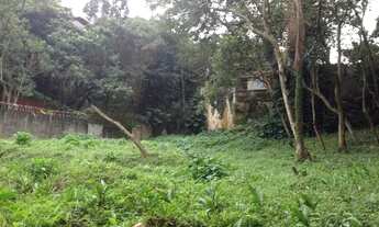 Imagem 6: TERRENO NO JARDIM MORUMBI - ARBORIZADO PARA UMA OU DUAS CASAS