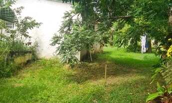 Imagem 2: Mini Sítio em Santa Cruz