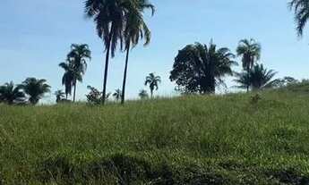 Imagem 5: Fazenda de 104 alqueires em Baliza-GO