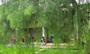 Imagem 4: VENDO CHÁCARA ARAPOANGA 1.200m²