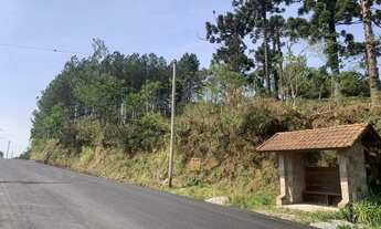 Imagem 3: Terreno para Venda em Nova Petrópolis, Linha Olinda