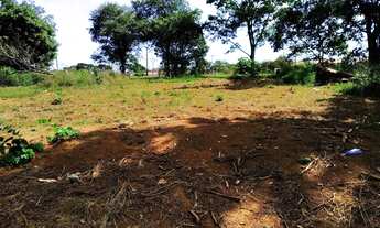 Imagem 4: Lote de 580mt² no Buriti sereno