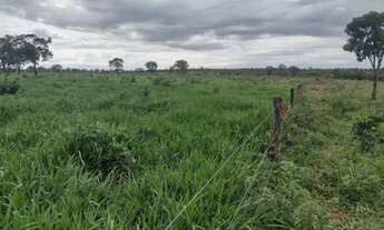 Imagem 7: Venda Commercial / Agricultural Curvelo MG