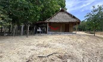 Imagem 3: Chácara na beira do Lago Cana Brava