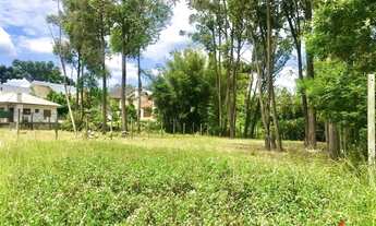 Imagem 7: Terreno para Venda em Nova Petrópolis, Juriti