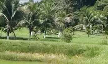 Imagem 4: Sítio 200 x 1.000 com 12 viveiro peixe Manuel Urbano 1.600.000