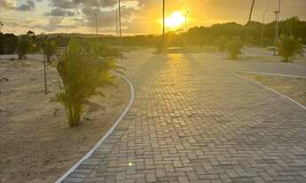 Imagem 5: Lote Villaredo Aruana