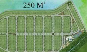Imagem 2: MOSAICO PONTA NEGRA Aceita Financiamento LOTE 250M2