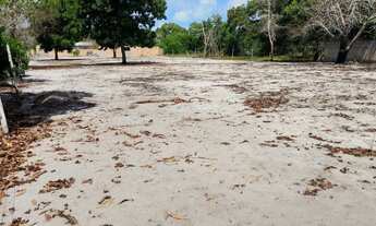Imagem 5: Casa com Terreno de 3.000 m² - Documentação 100% Regularizada