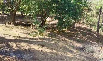 Imagem 4: Chácara com 2 dormitórios à venda, 7000 m² por R$ 330.000 - Aparecida - Sorocaba/SP