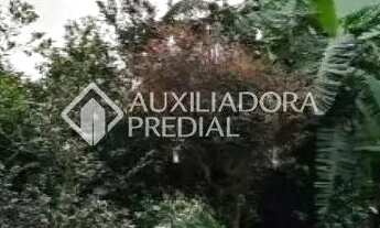 Imagem 5: Terreno à venda em Novo Hamburgo