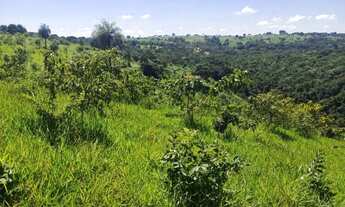 Imagem: SITIO EM RIANAPOLIS 2.5 ALQUEIRES