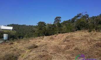 Imagem 4: AREA - PARQUE DOM HENRIQUE - SP