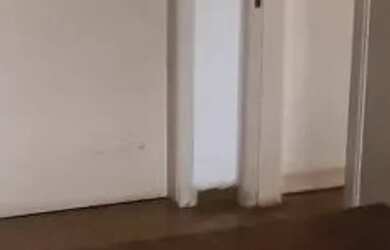 Imagem 7: CASA ASSOBRADADA - SUMARÉ - SP