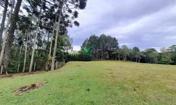 Imagem 7: TERRENO INDUSTRIAL ATTILO CITTON