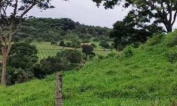 Imagem 6: Chácara em Bela vista