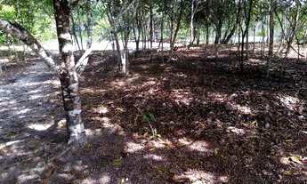 Imagem 7: Vendo Terreno no Tepequém