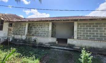 Imagem: Aluguel galpao 60m2 taquara temos outros