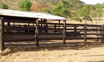 Imagem 3: Fazenda em Alexânia Goiás