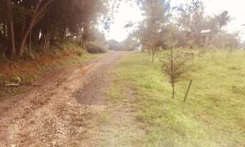 Imagem 5: Chácara 72.600,00m² no bairro Ferraria