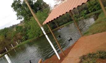 Imagem 2: Linda Chácara para alugar em Nerópolis - 2 alqueires, córrego, 3 tanques, piscina, casa