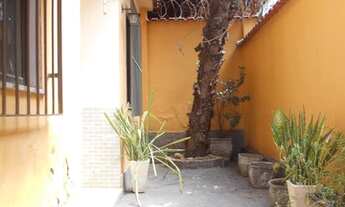 Imagem 4: TRANSVERSAL A AV. AMARO CAVALCANTI, PRÓXIMO AO HOSPITAL PASTEUR