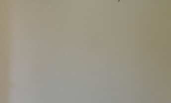 Imagem 4: Alugo 1 kitnete no bairro Petrópolis