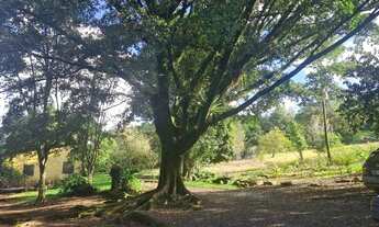 Imagem 7: Linda chácara 3.3ha, cercada, sobrado 140.00m², ótima localização, açude