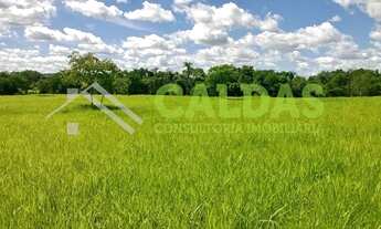 Imagem 3: Fazenda a venda com 36 alqueires e pecuária rotacionada na região de Formosa - GO
