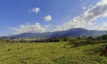 Imagem 3: Linda área de 50 alqueires no centro