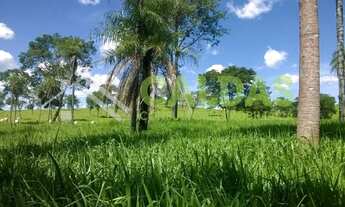 Imagem 2: Fazenda a venda com 36 alqueires e pecuária rotacionada na região de Formosa - GO