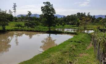 Imagem: Espetacular Sítio 10000m2 com casa