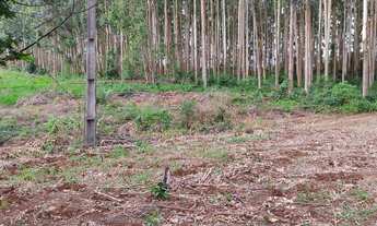 Imagem 4: Sítio 10 hcts, com escritura, no Morro Grande, Rolante