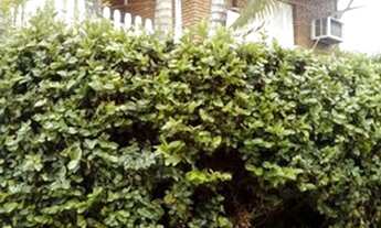 Imagem: Casa para Venda em Jundiaí, Centro, 4 dormitórios