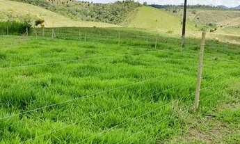 Imagem 5: Sítio maravilhoso