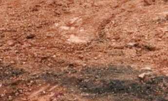 Imagem 3: Terreno para Venda em Florianópolis, Trindade