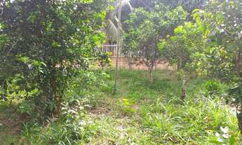 Imagem: Terreno no cipoal