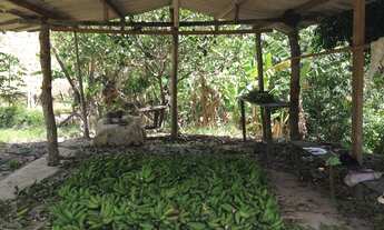 Imagem 3: Fazenda com 62 Hectares em Nossa Senhora do Carmo - Pombos - PE