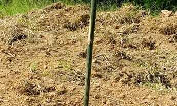 Imagem 5: Lote/Terreno para venda Ibiúna - SP