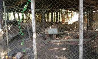 Imagem 3: Estância Vargem Bonita, Chácara de 2.000 metros