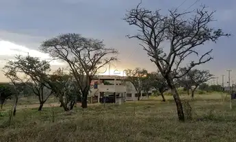 Imagem 2: Galpão - Cascata - Paulínia