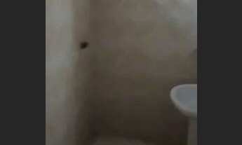 Imagem 6: Alugo casa Casa com 2 dormitórios