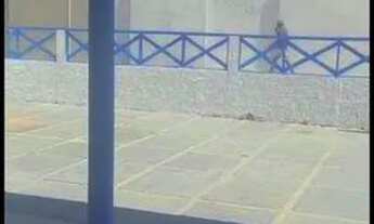 Imagem 5: Vendo casa a 300 metros do mar em luis correia